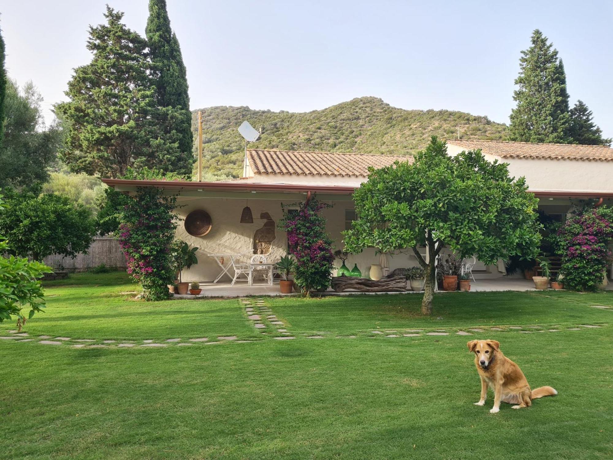 טאולאדה B&B Giallo Limone מראה חיצוני תמונה